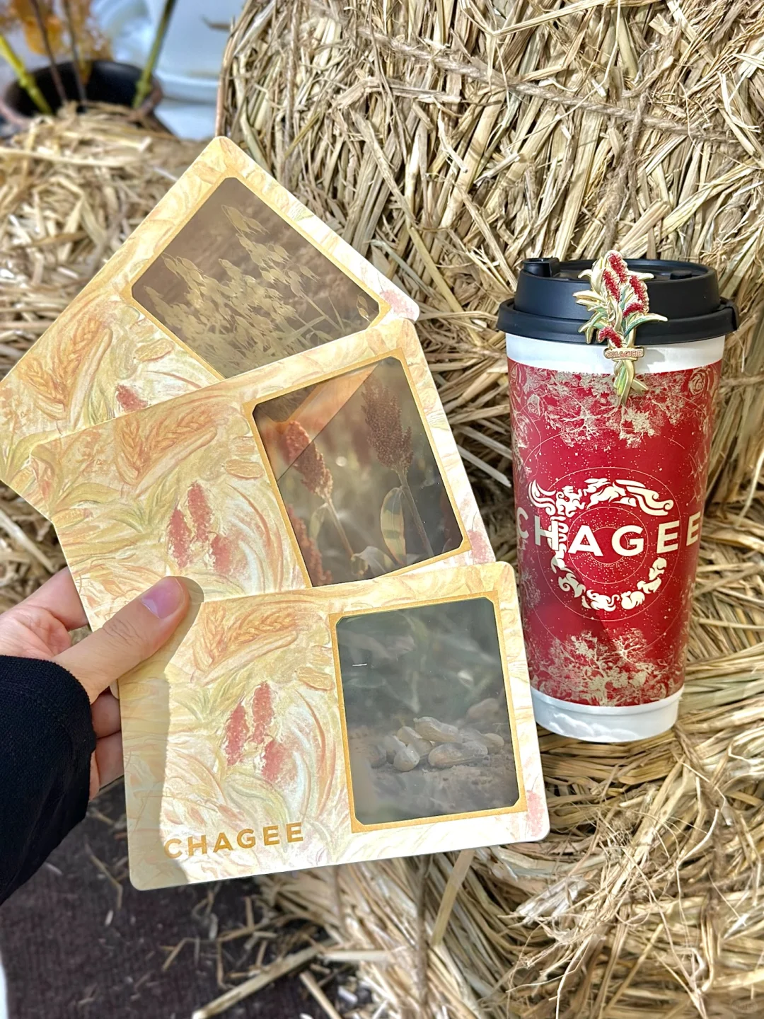 看看茶姬的粮食日周边?缩小版农作物超可爱