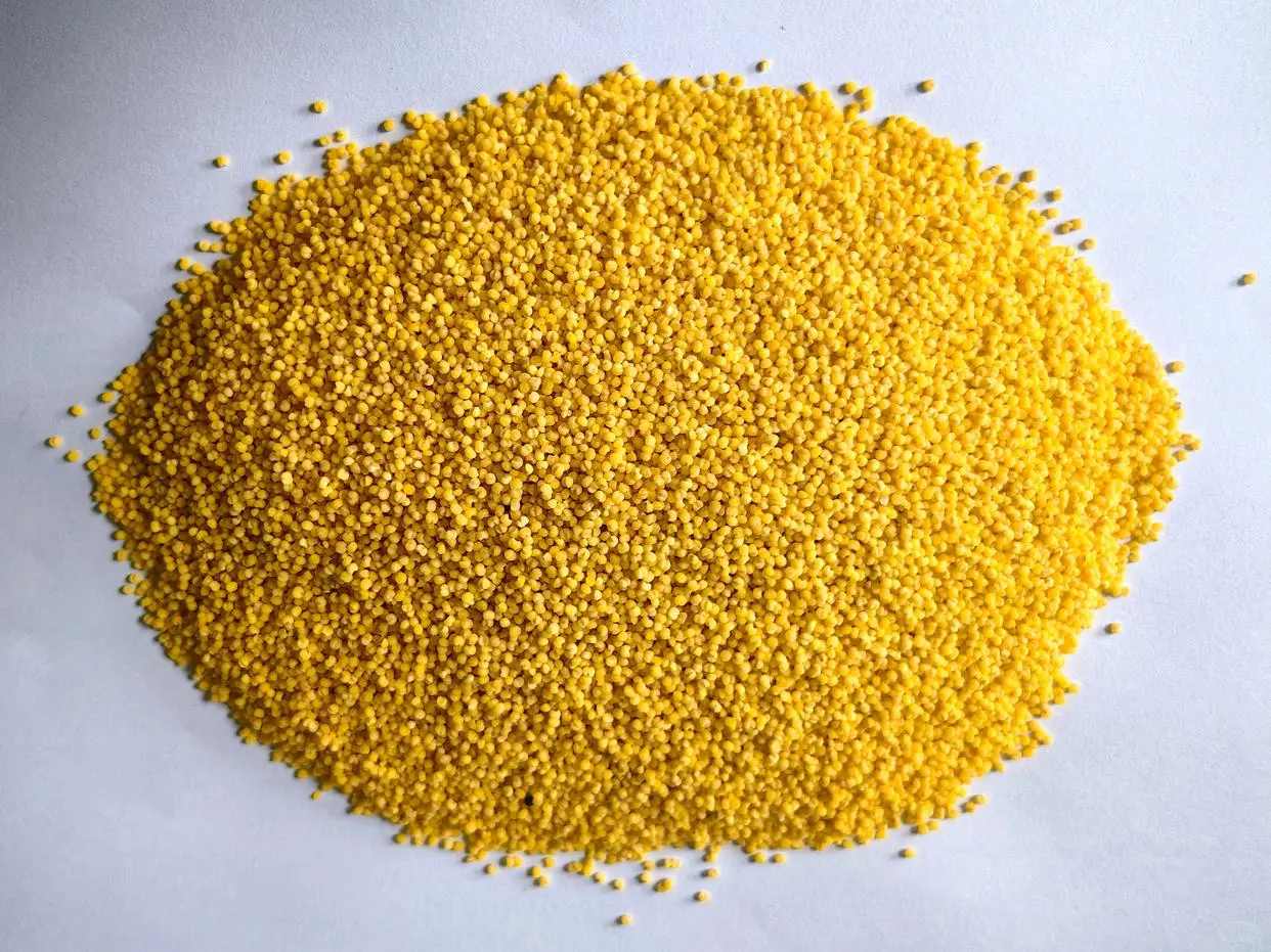 坻坞为何适合种植小米？