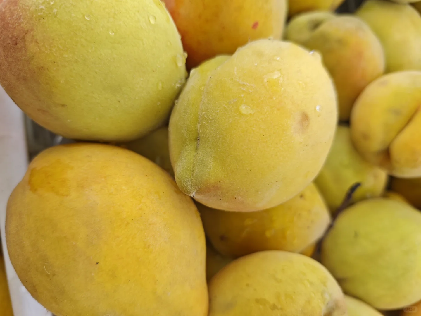 绿色种植水果蔬菜