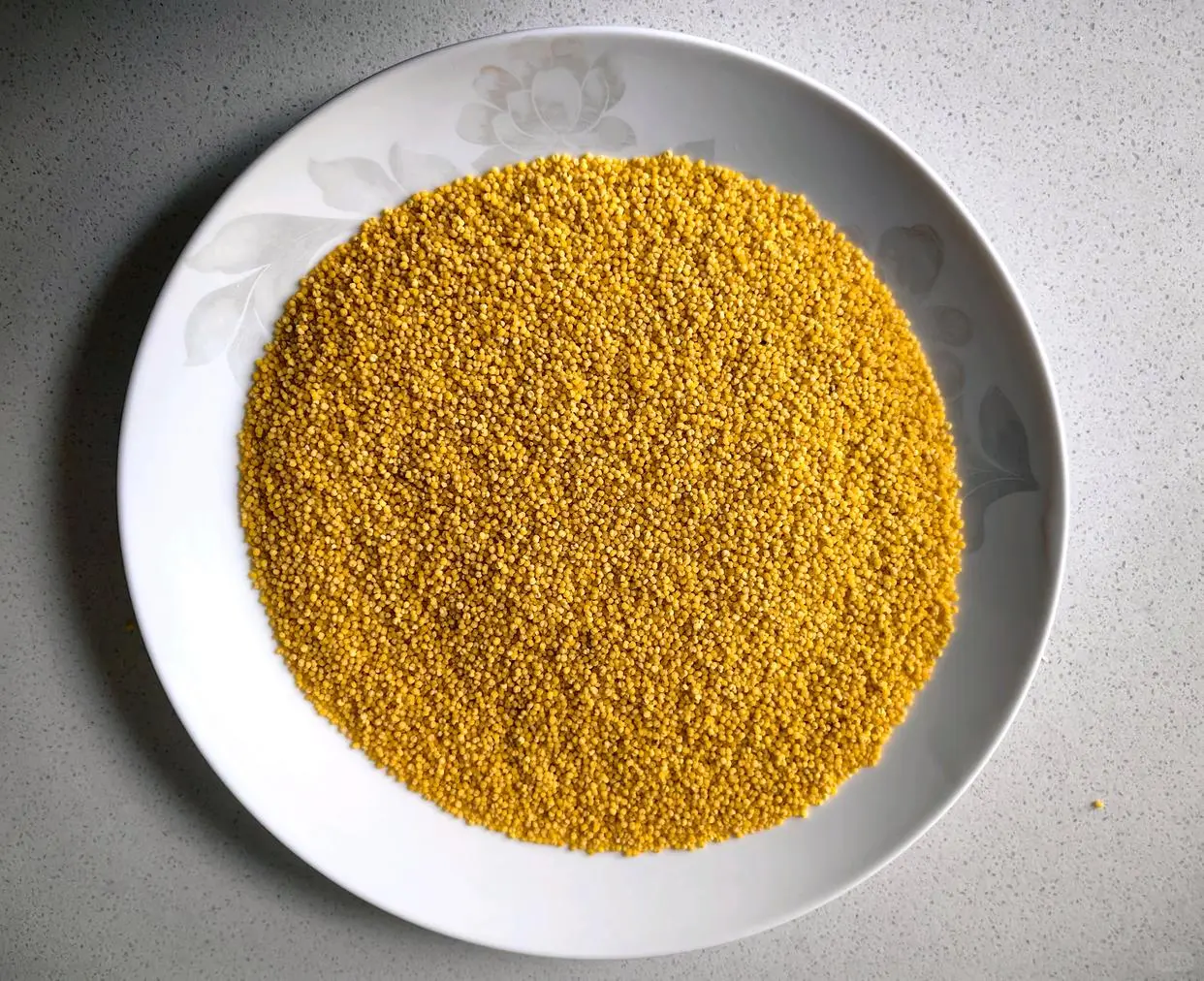 坻坞为何适合种植小米？