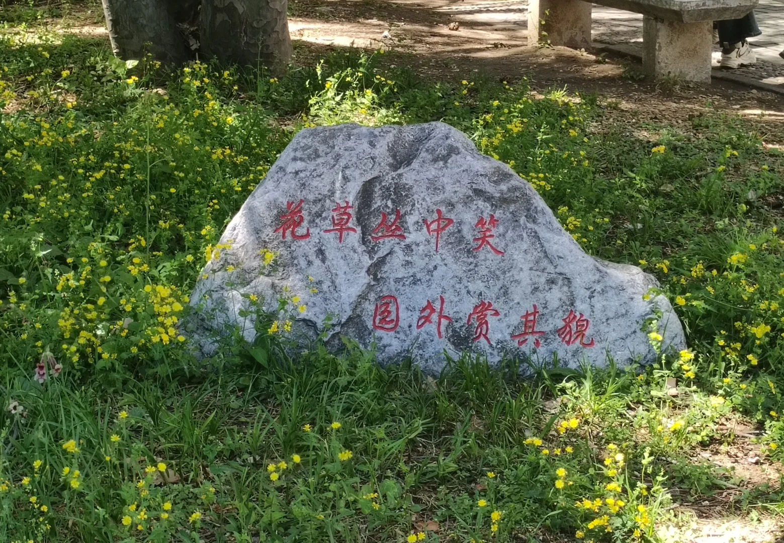 北大图书馆，真的好美呀！