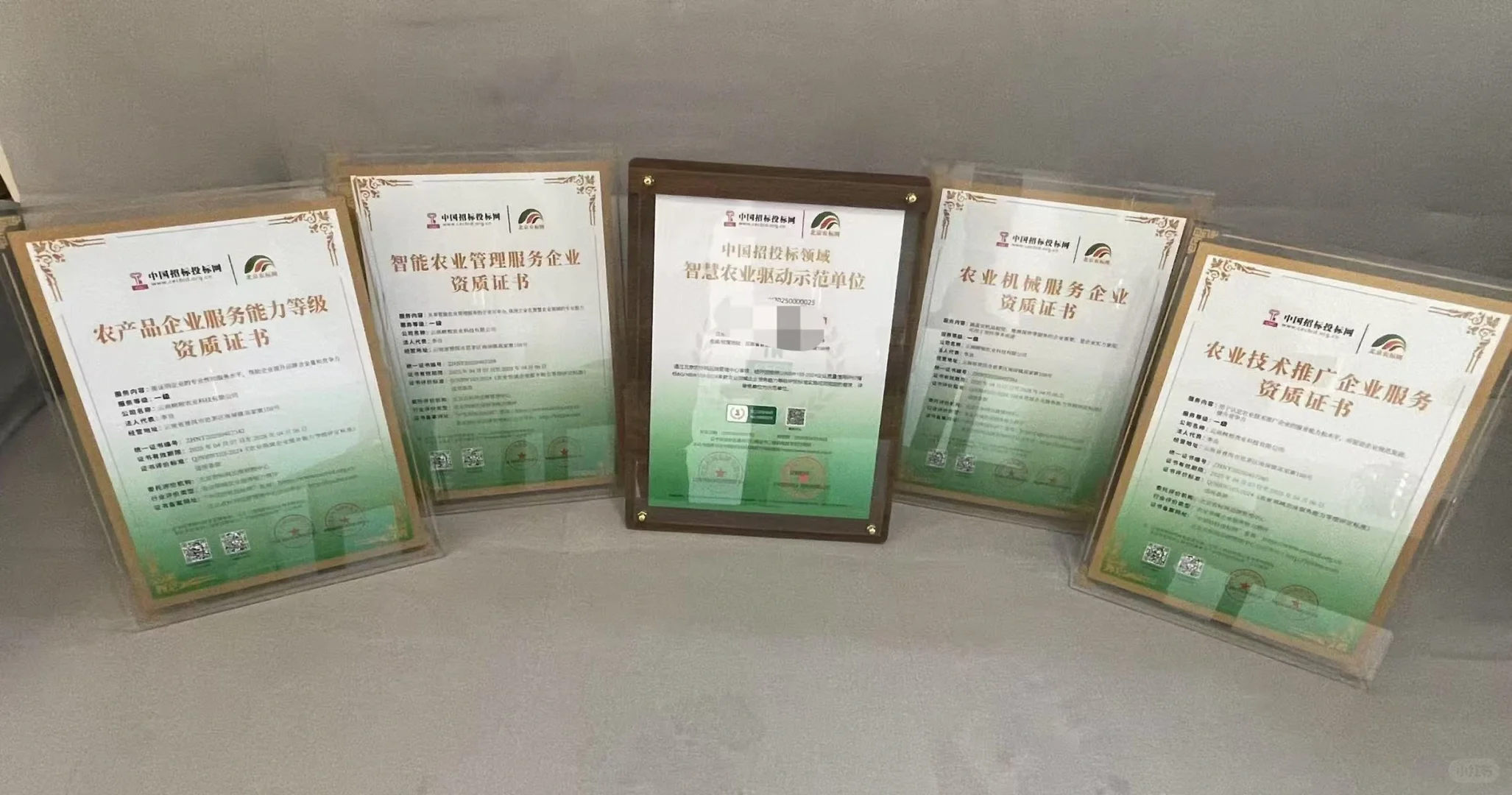 中国投标网的农业服务能力等级资质