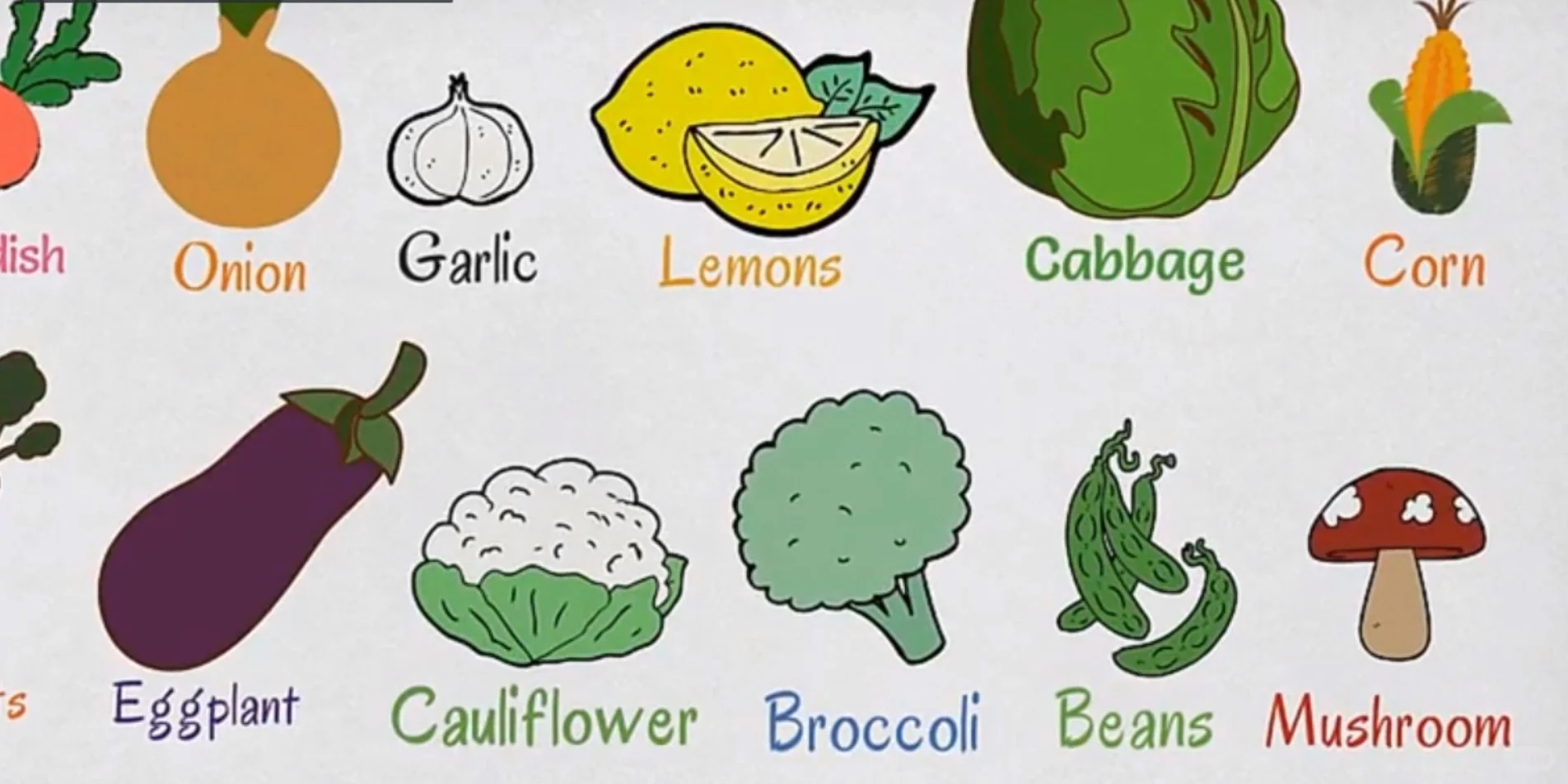 常见水果蔬菜（一）