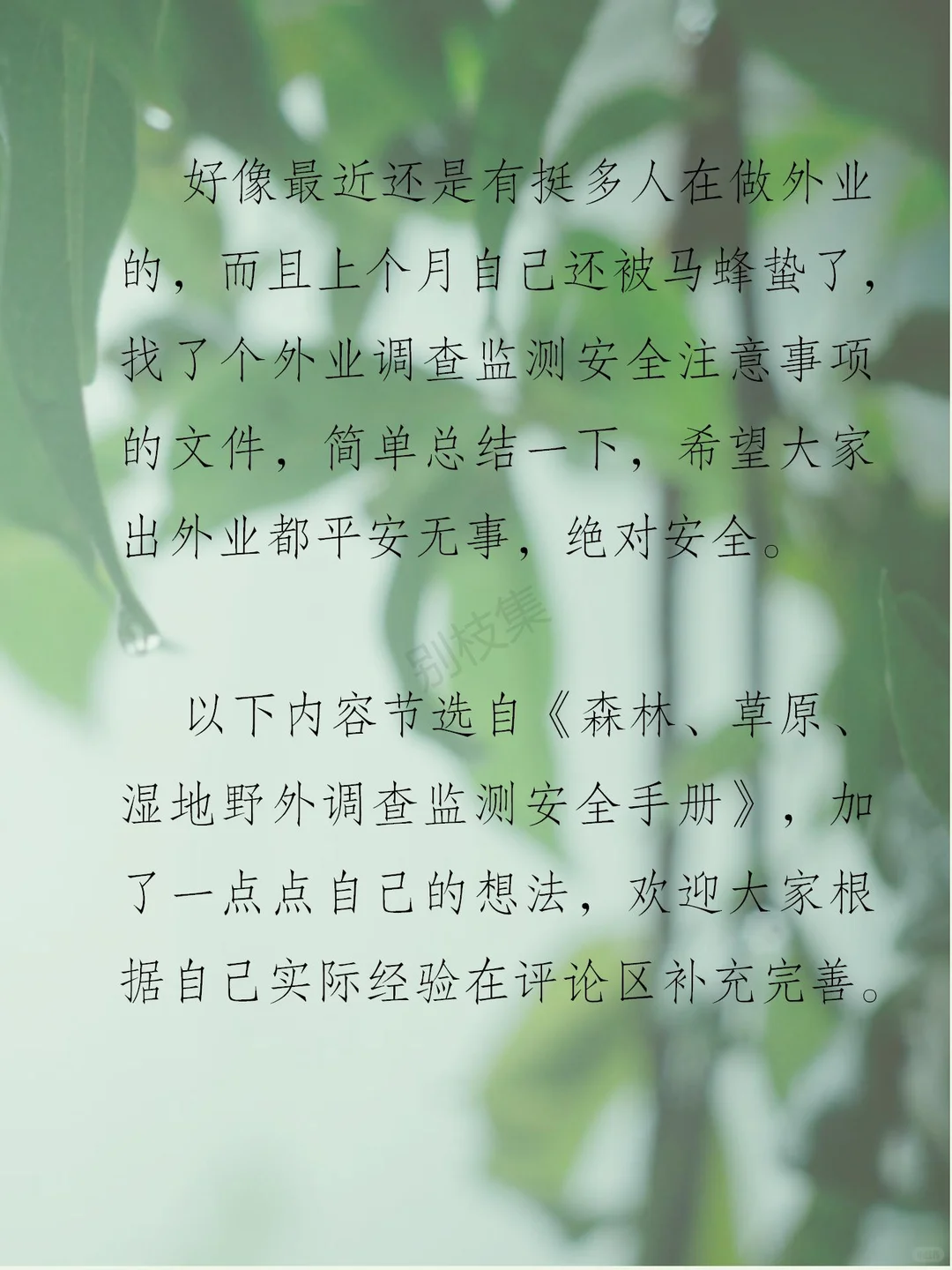 林业外业调查注意事项