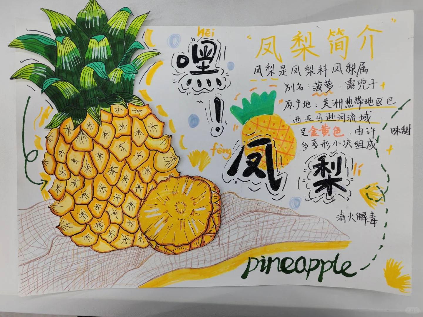 原创绘本《水果王国》学前教育美术期末作品