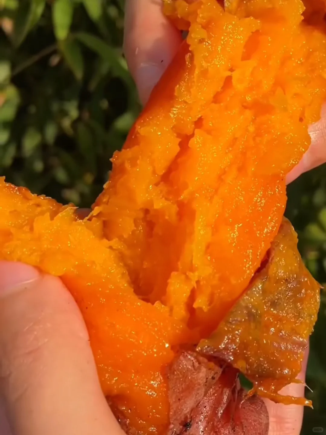 爸妈整夜没睡！红薯再不卖就坏了?