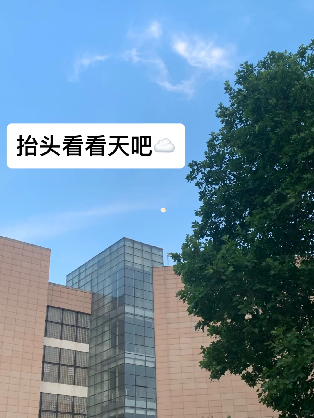 姐5:50起床|在图书馆学一种偷感很重的习