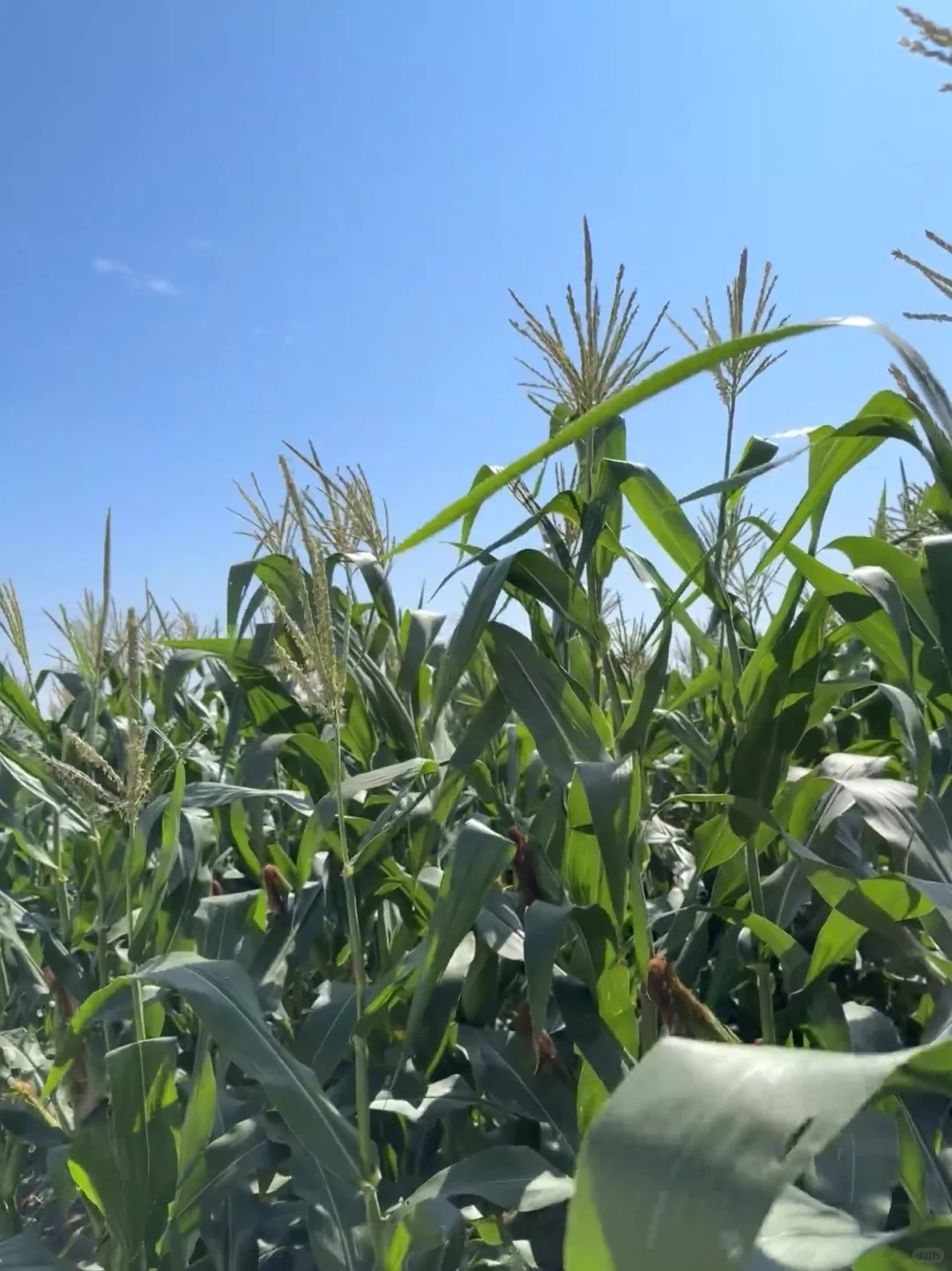 姐妹们！发我地址❗️我给你们寄不要邮费！