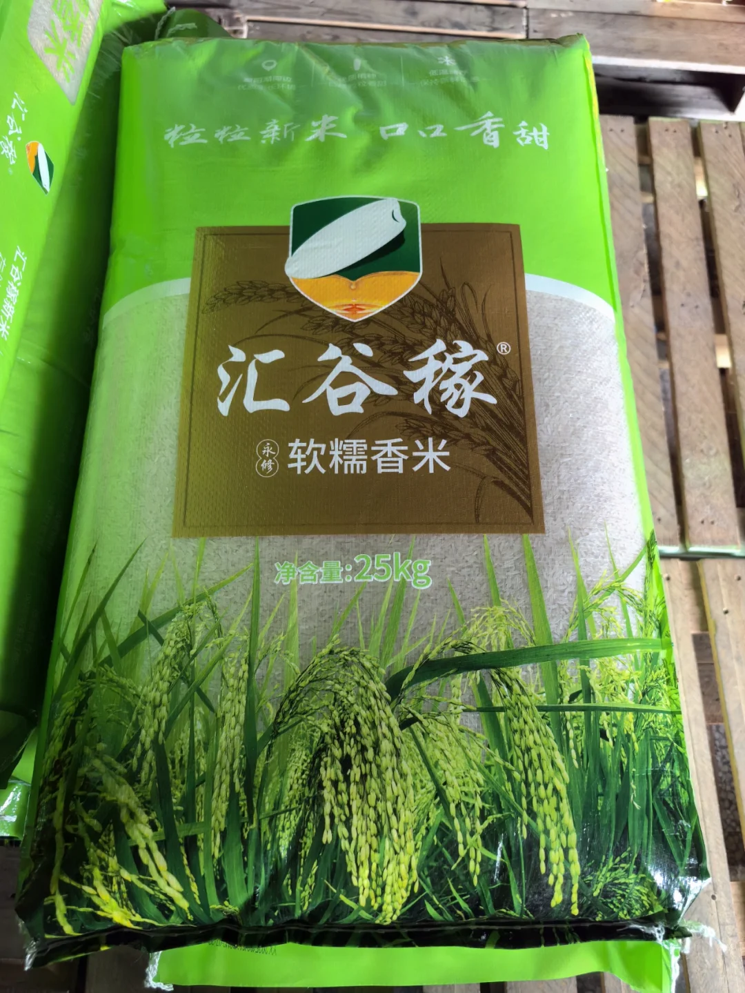 专业供应餐饮优质大