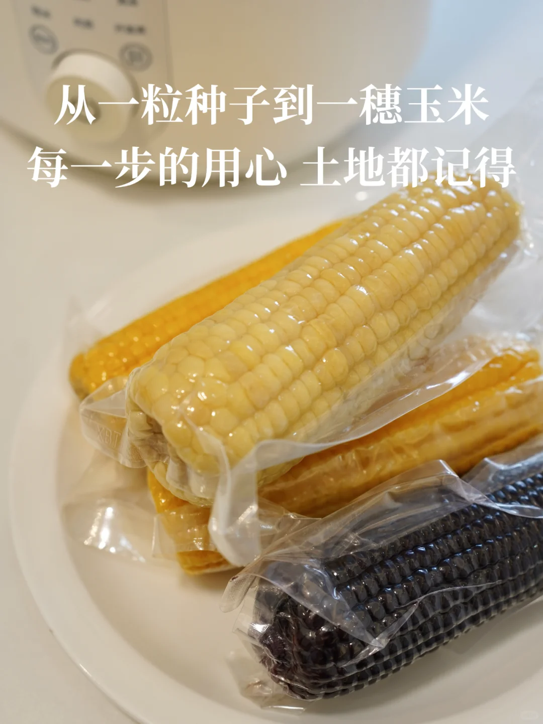 种地吧，从选好一粒种子开始☀️