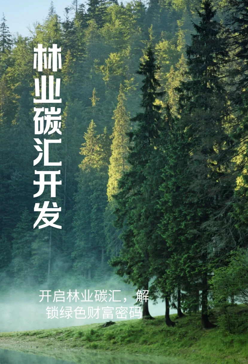 拥抱绿色未来，开启林业碳汇财富之门！