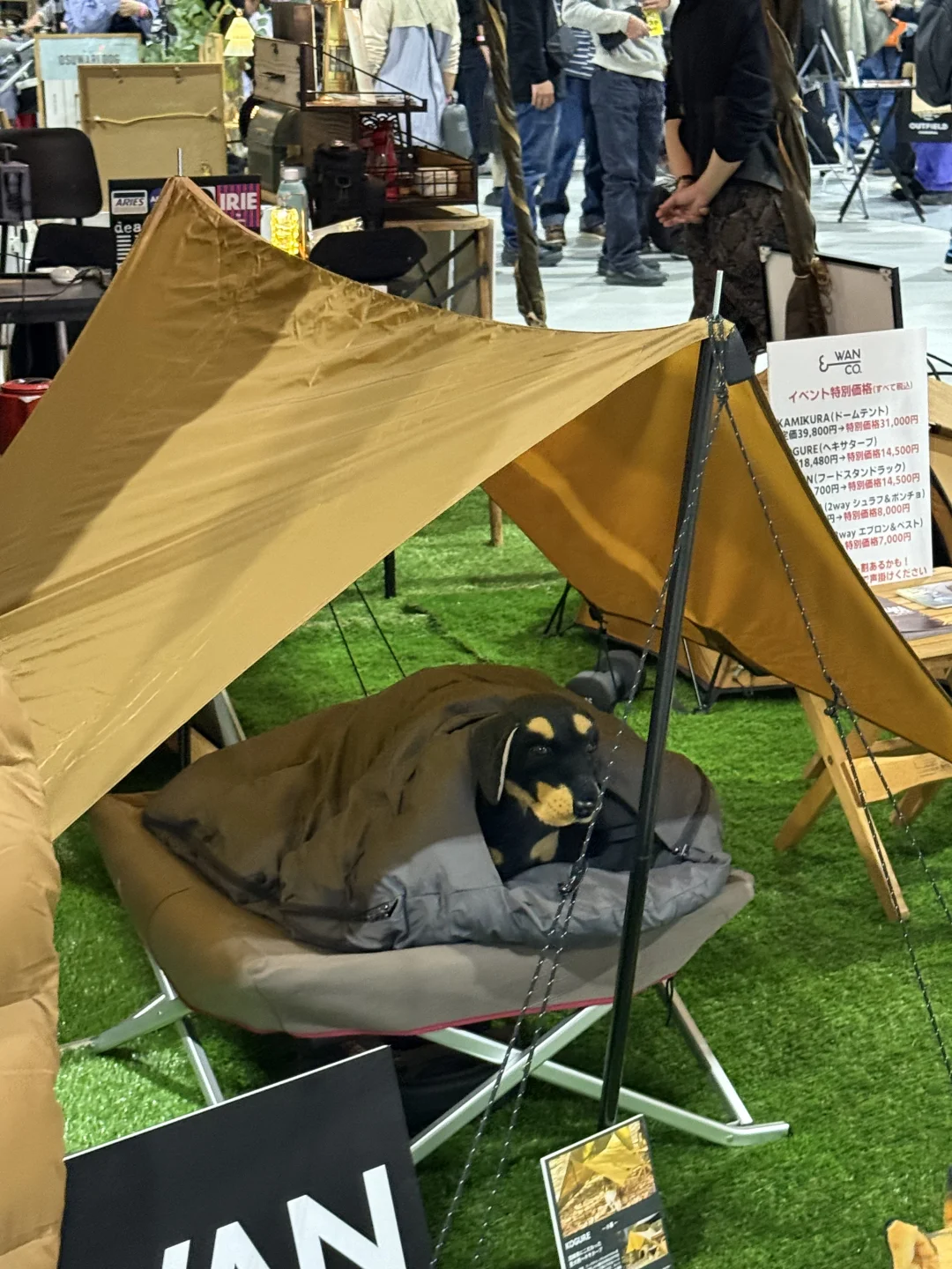 FIELD STYLE | 展会已经结束一周了还在戒断