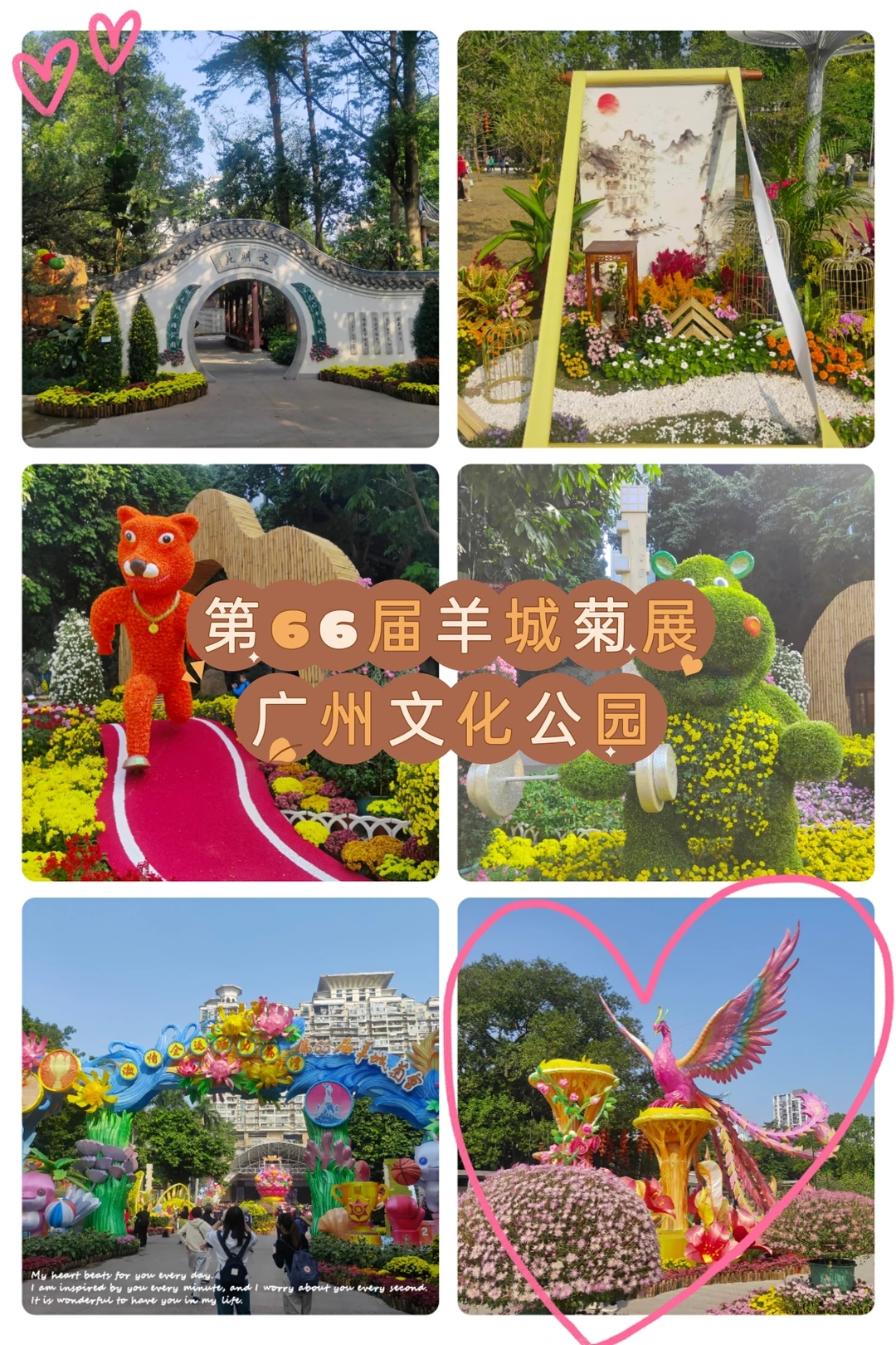 赶上菊展末班车，0元打卡！第66届羊城菊会