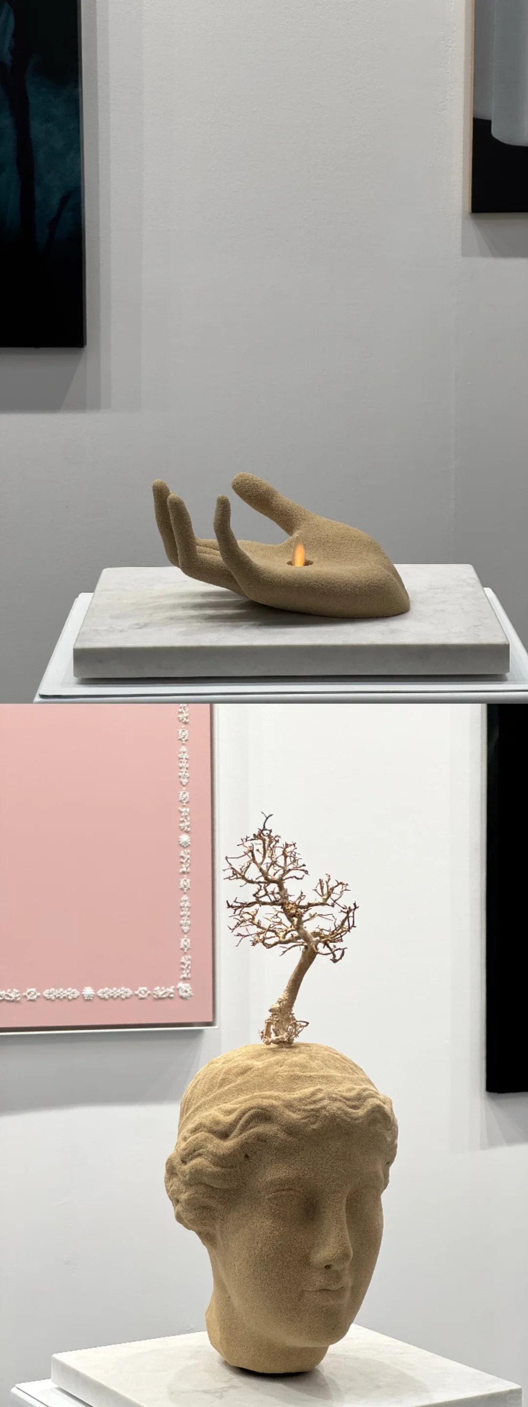 深圳又有新展了 | 第十二届艺术深圳