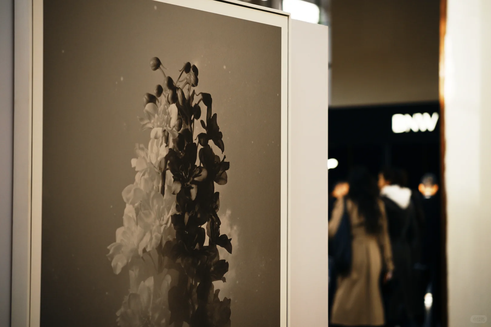 LPS高端房产展会摄影特展