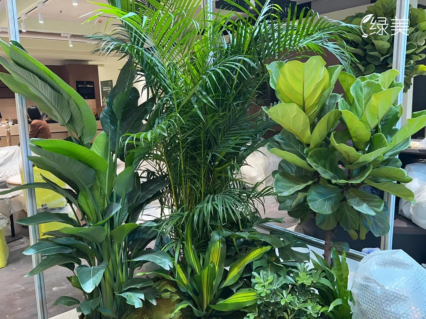 广州琶洲展会室内绿植设计 | 企业展厅布置