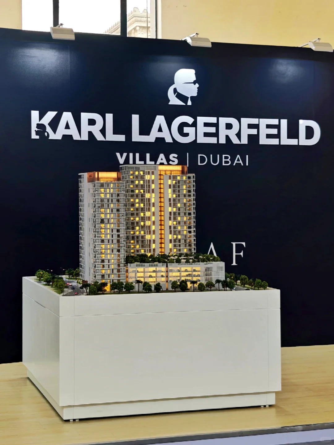 一年一度LPS | 除了看高端房产还有VIP活动