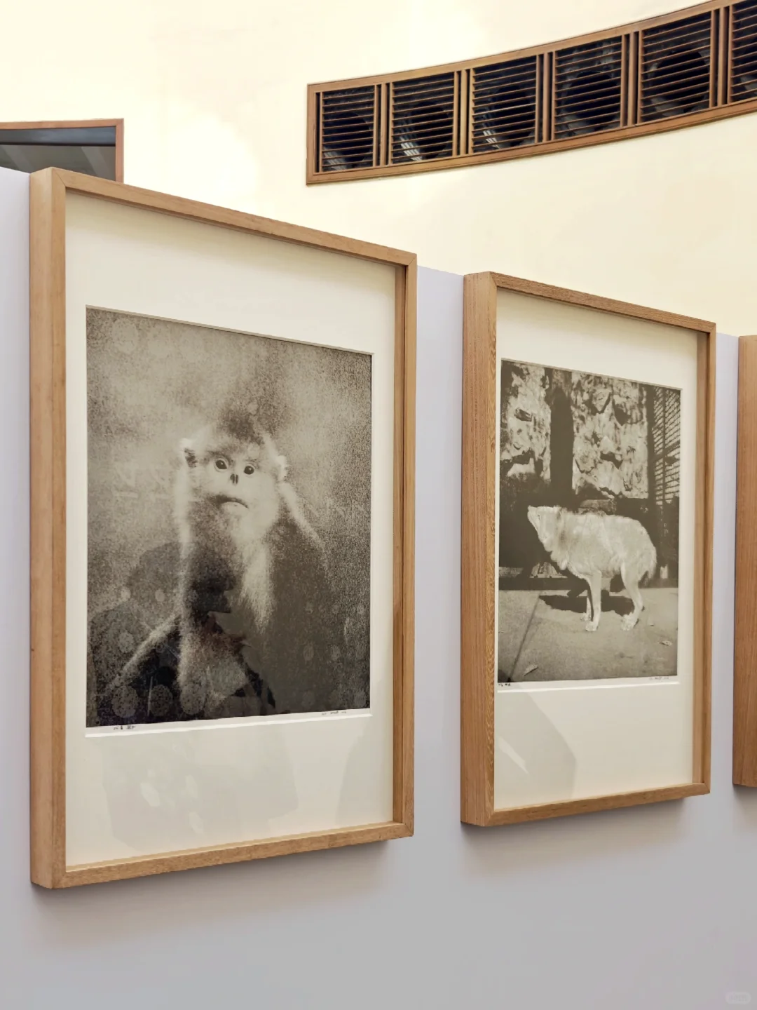 一年一度LPS | 除了看高端房产还有VIP活动