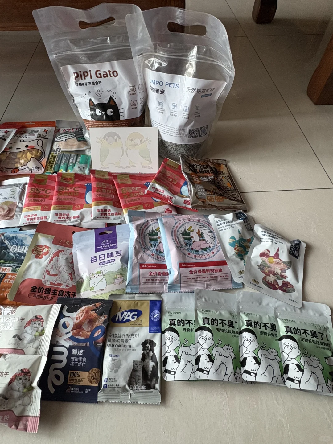 深圳华南亚宠展薅羊毛✌️不枉费我起了个大早