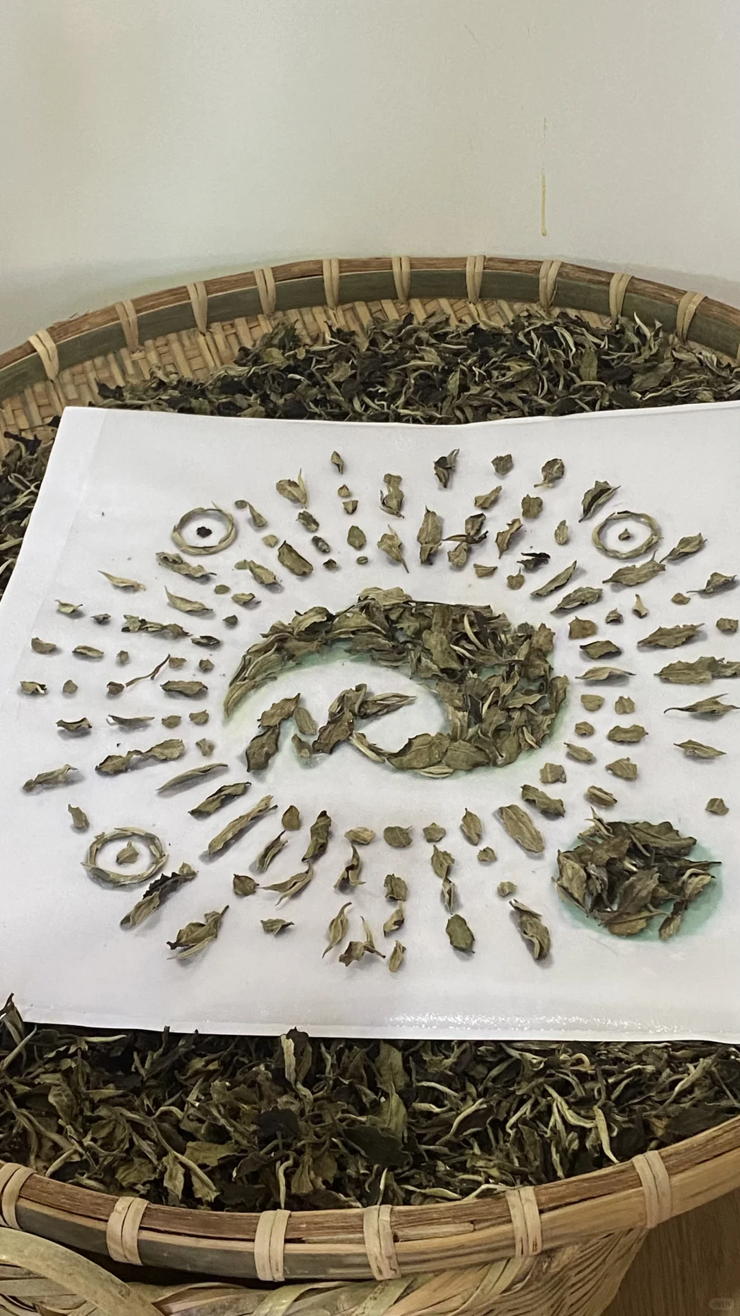 在普洱咖啡展会看见了很多有趣的事物