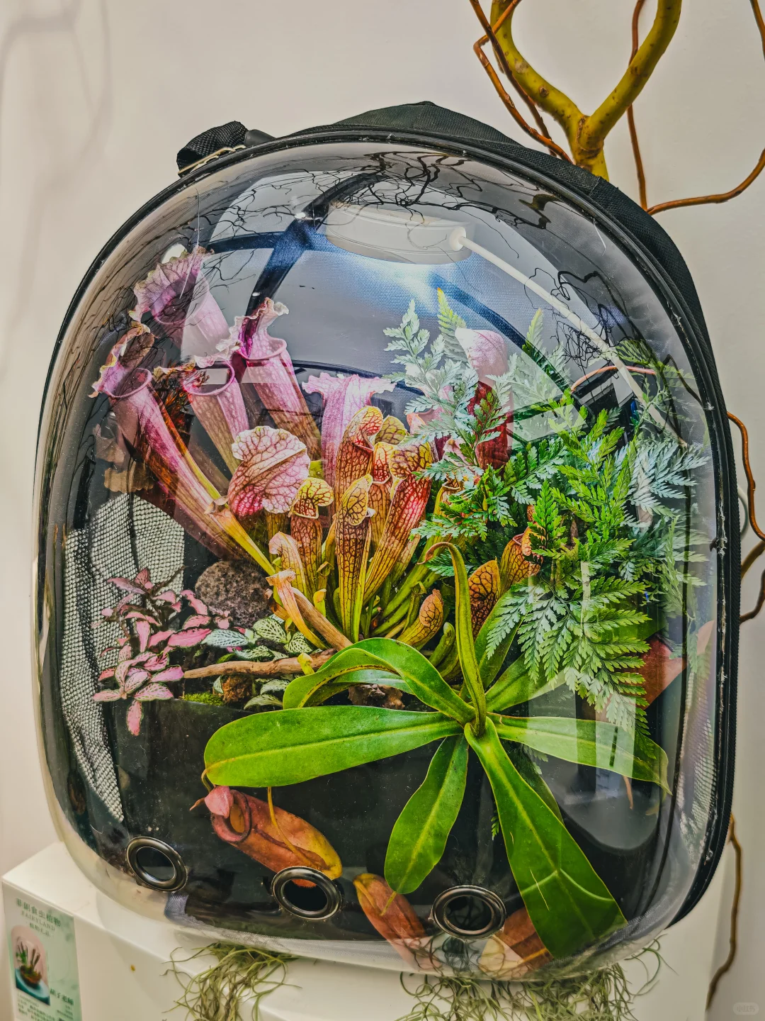 深圳看展｜100+亚洲艺术季真的很精彩超前❗