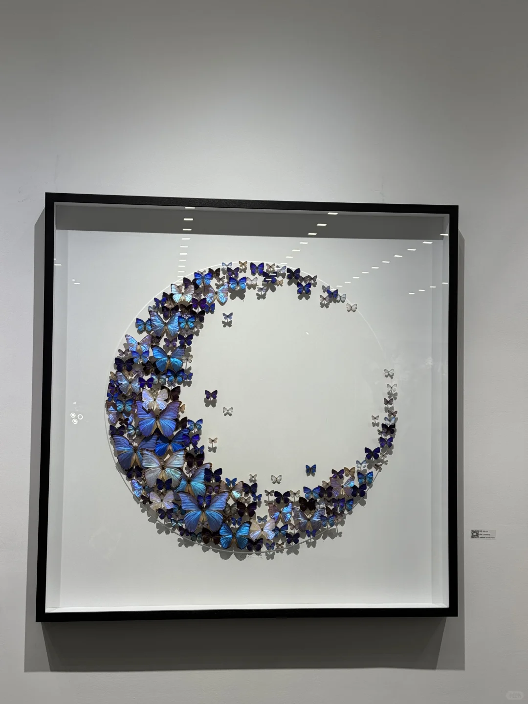 深圳又有新展了 | 第十二届艺术深圳