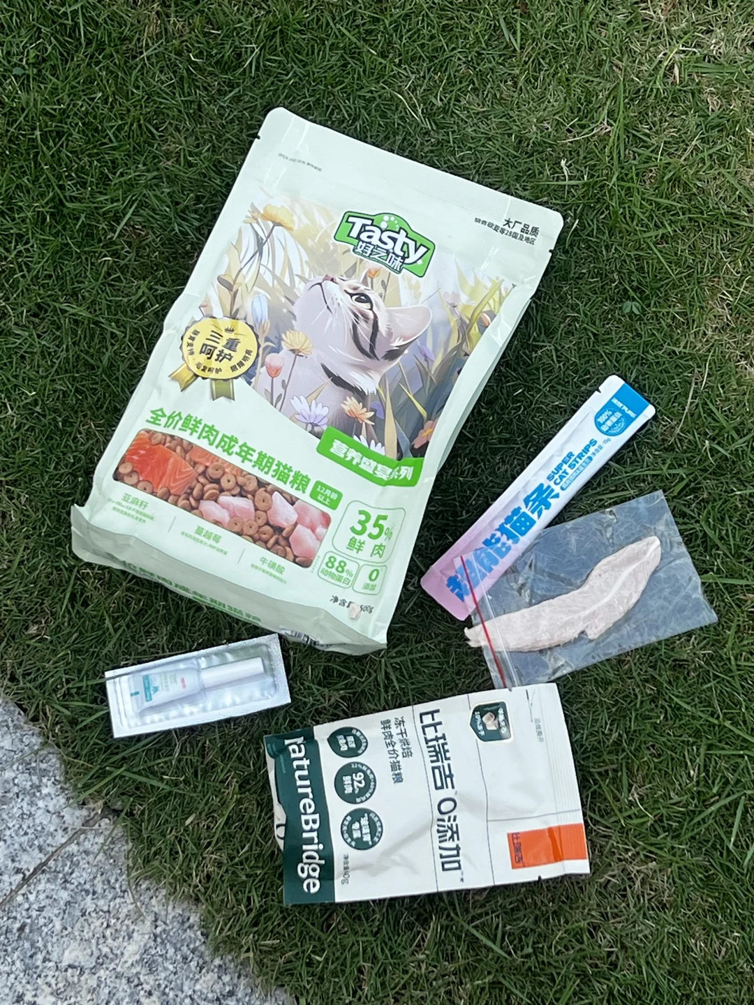 海南宠物博览会免费摄影、薅零食攻略！