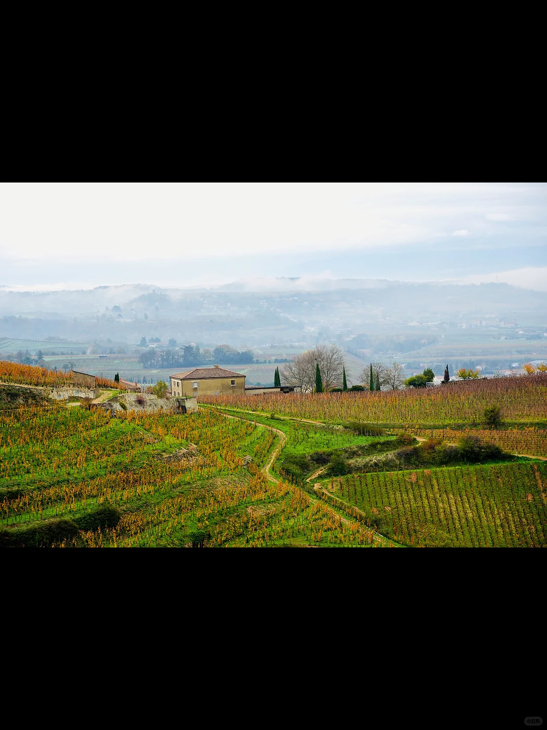 90后法国酒业巨头霸总，一周工作80小时