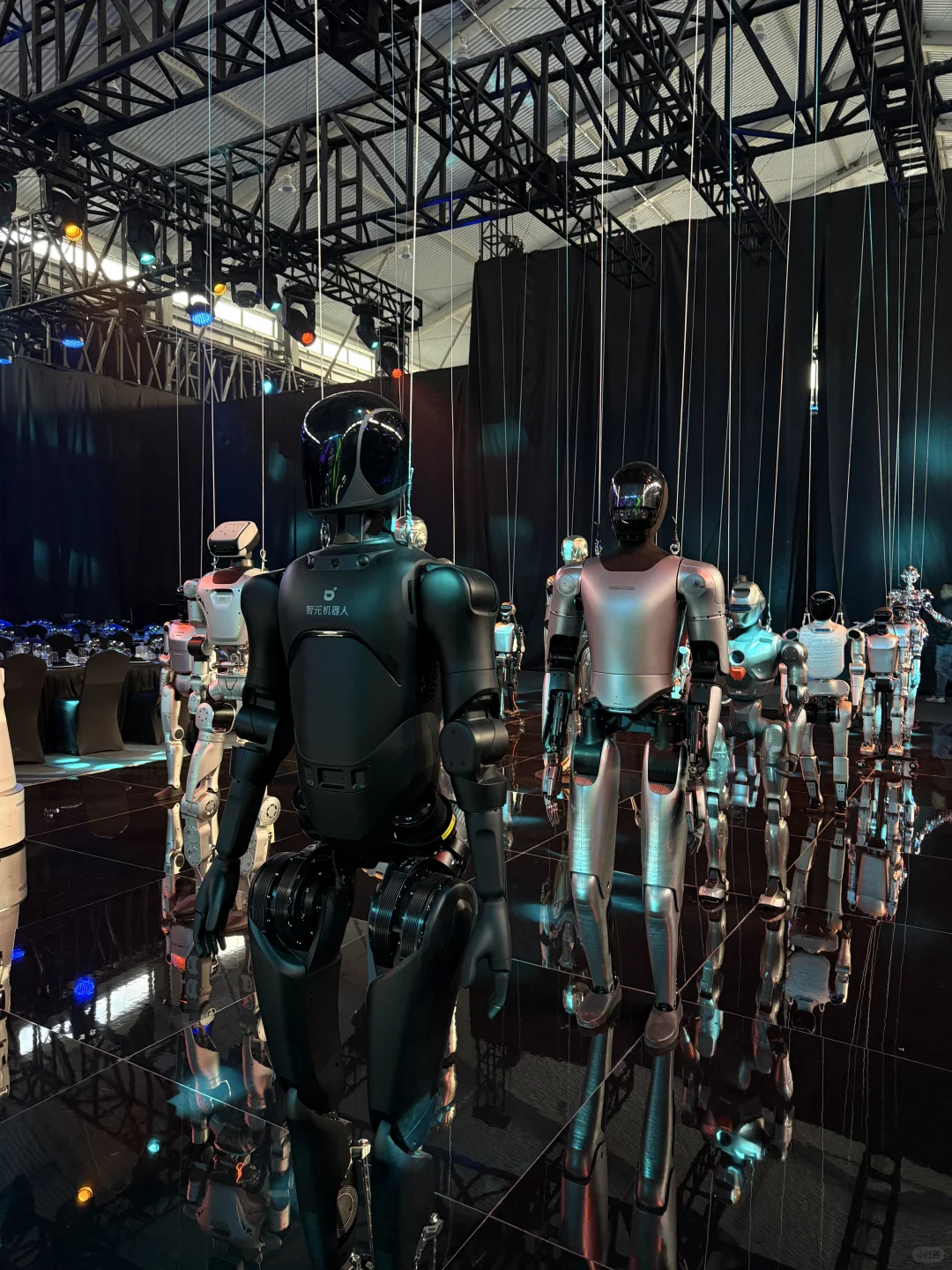 没什么可看的，就这些