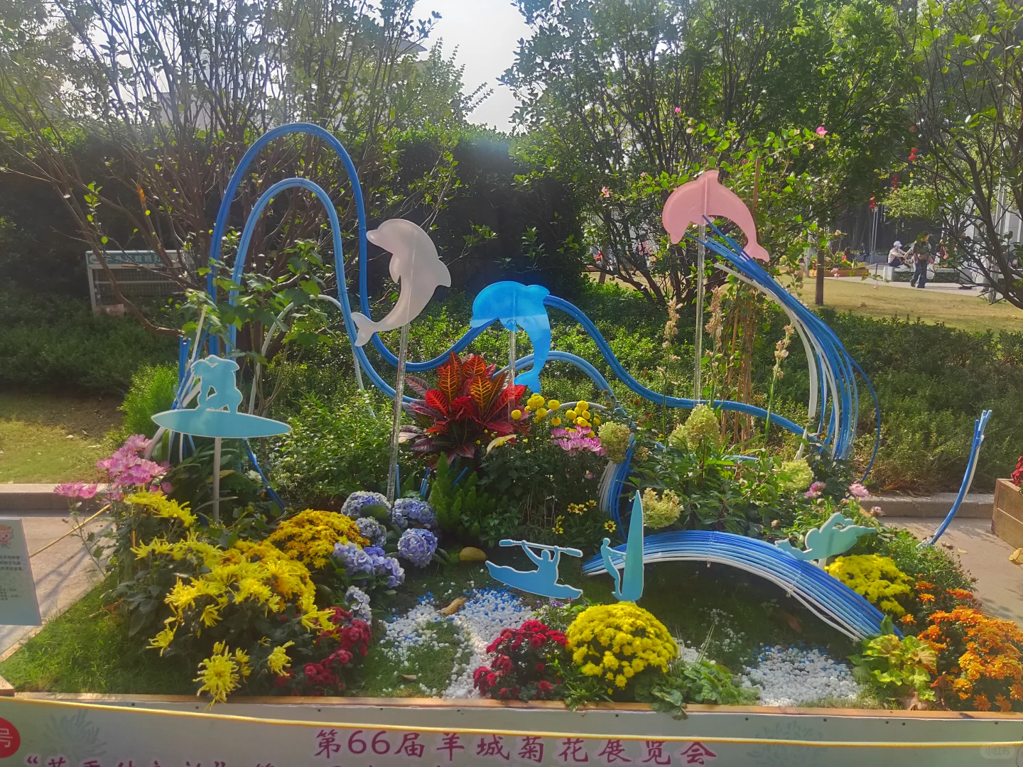 赶上菊展末班车，0元打卡！第66届羊城菊会