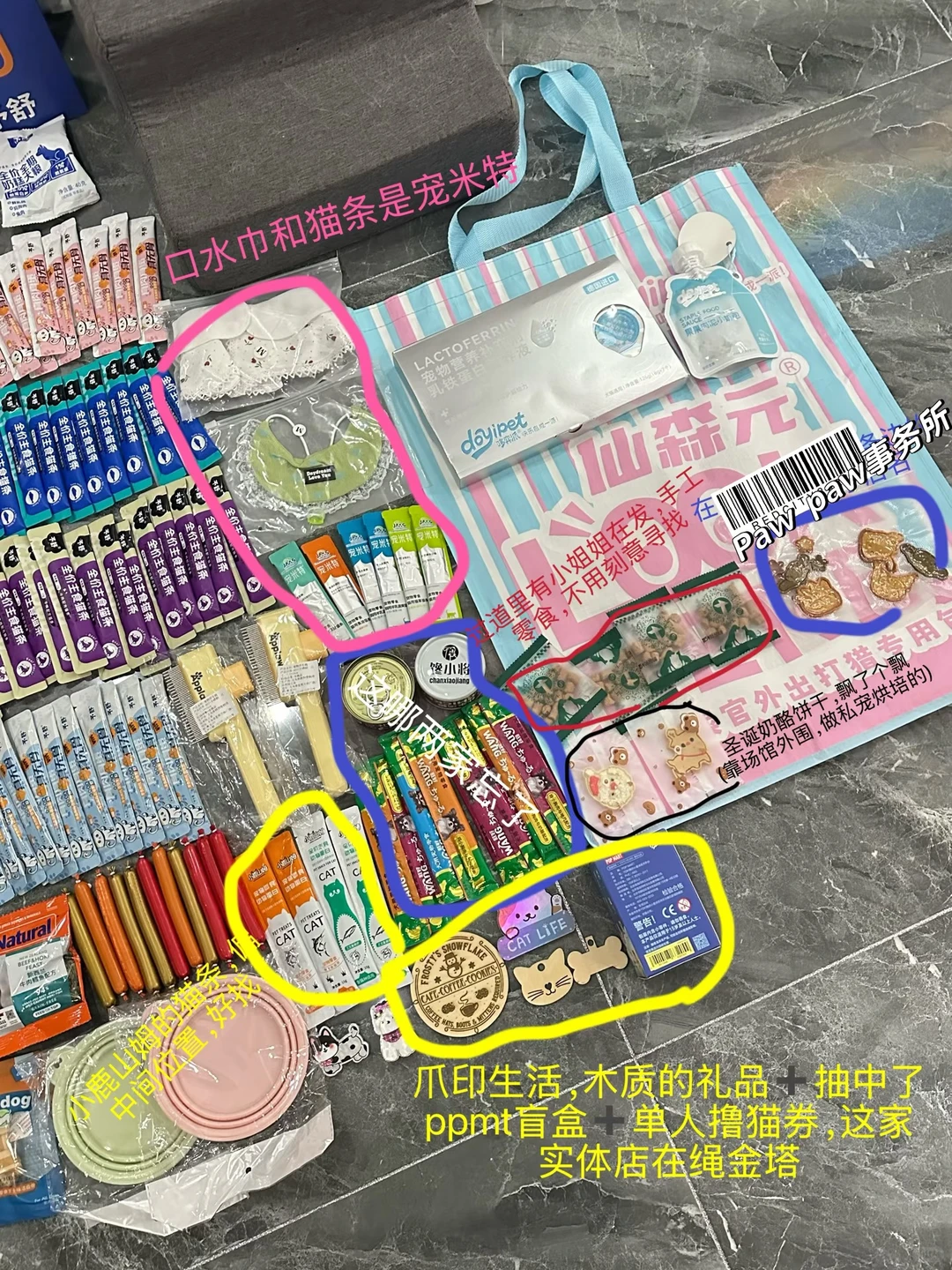 2025南昌世宠会成果！明年再战！(附小攻略)