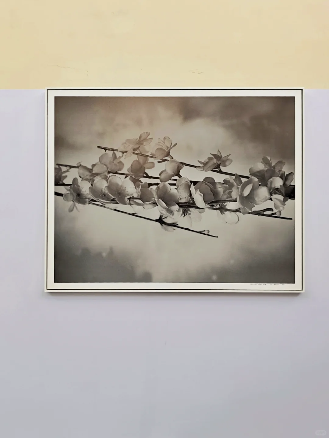 一年一度LPS | 除了看高端房产还有VIP活动