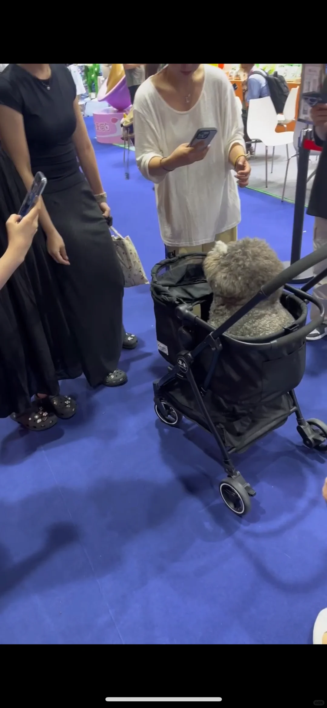 有没有宝子要冲的