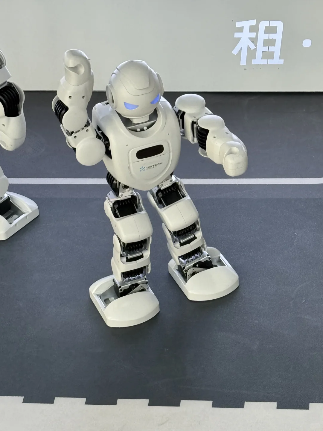 没什么可看的，就这些