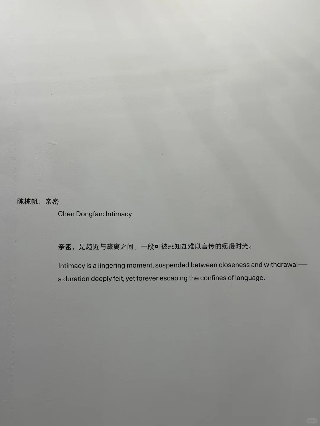 深圳又有新展了 | 第十二届艺术深圳