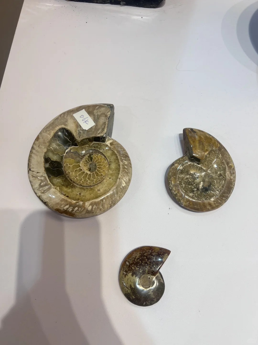 展会最后一天，清仓大甩卖