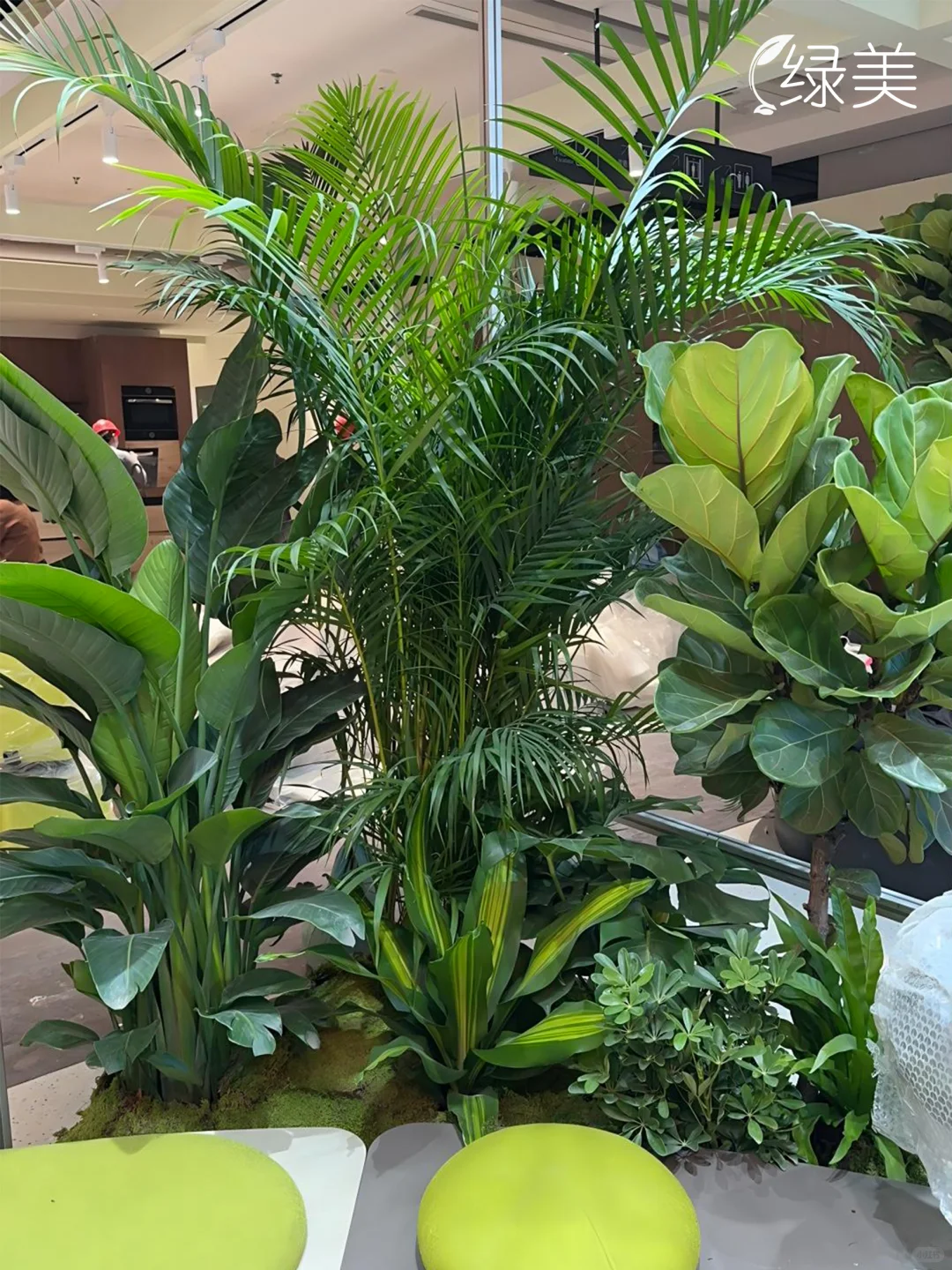 广州琶洲展会室内绿植设计 | 企业展厅布置