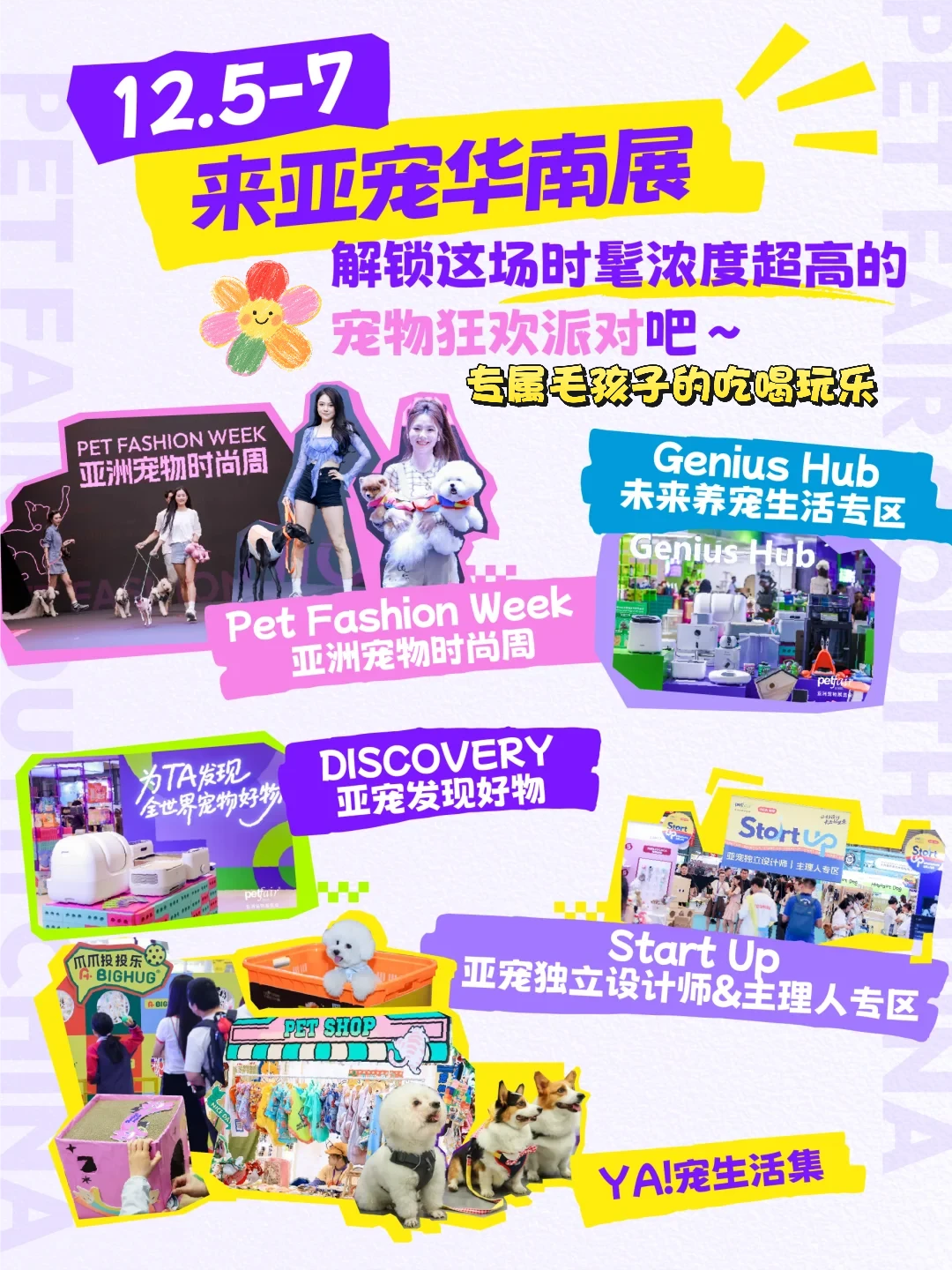 有没有宝子要冲的