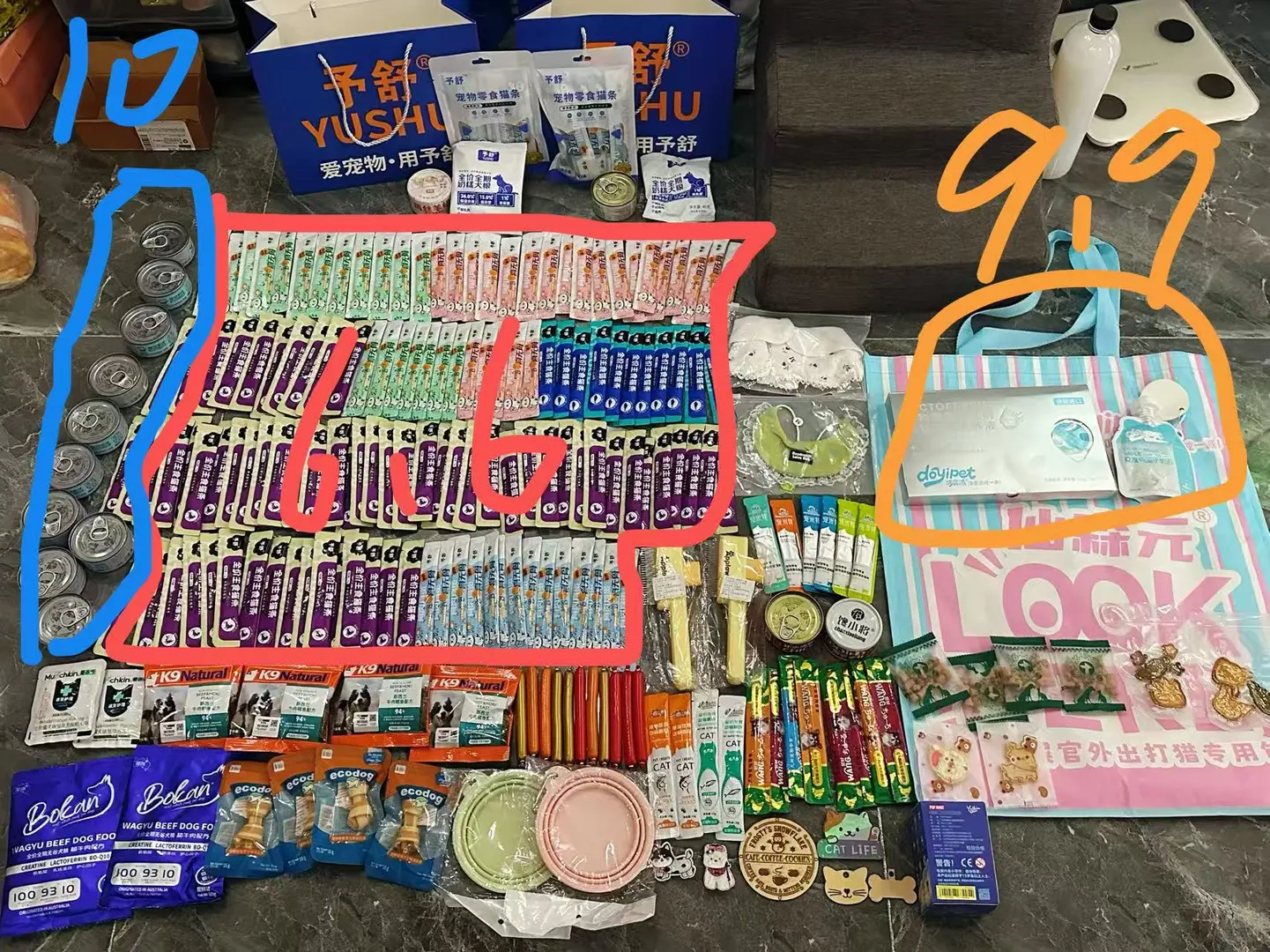 2025南昌世宠会成果！明年再战！(附小攻略)