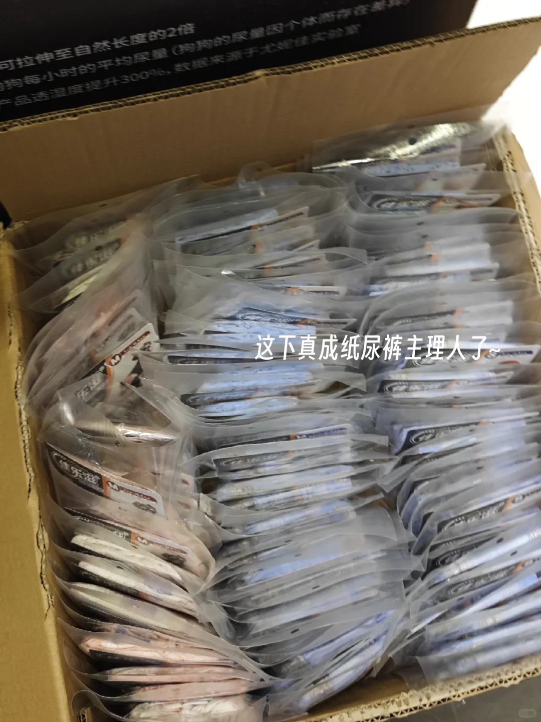 深圳兼职记录（64）| 纸尿裤主理人