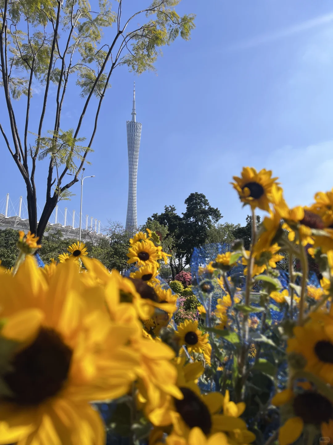 广州园博会,太好看了吧,附攻略