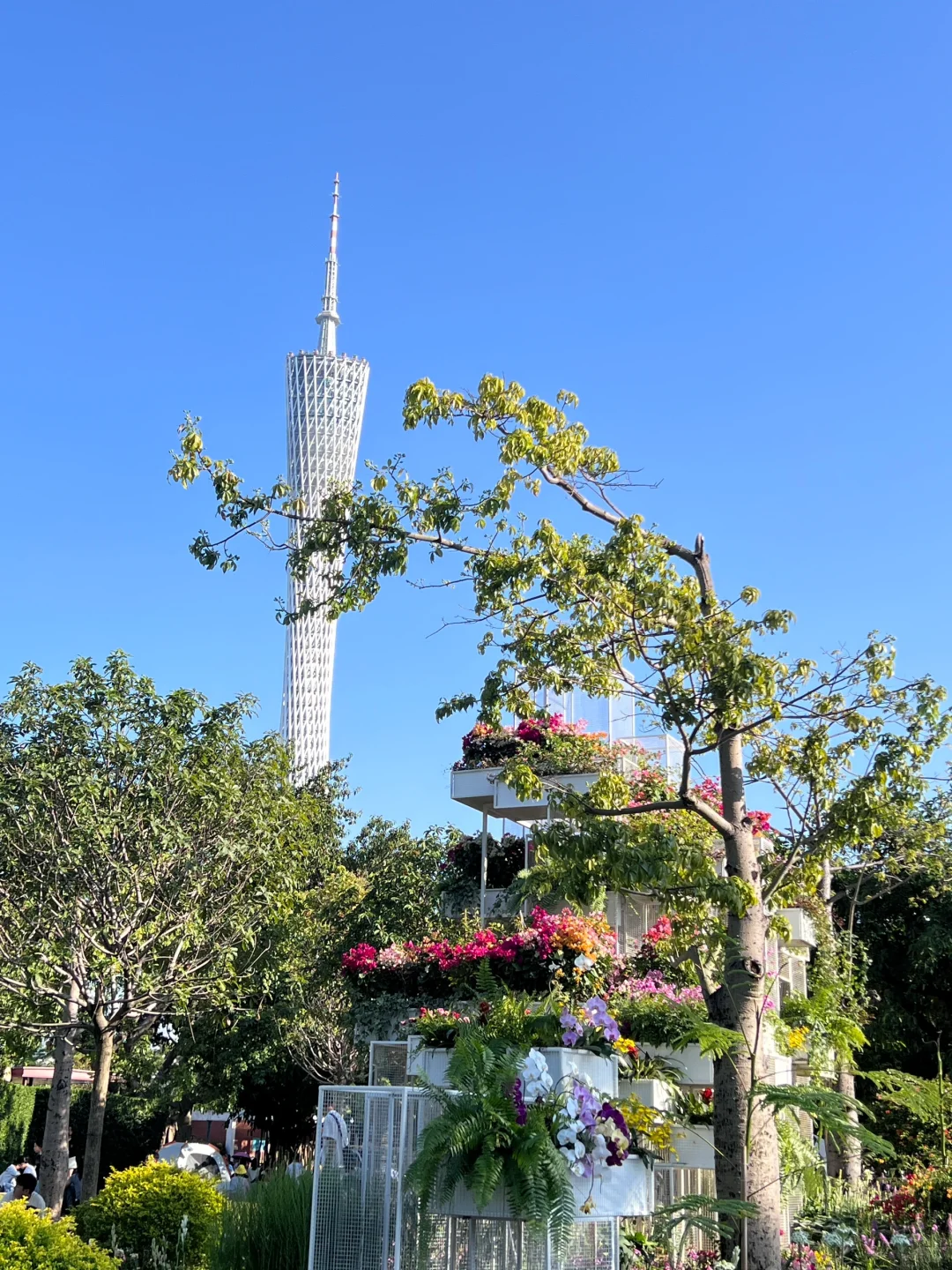 广州园博会,太好看了吧,附攻略