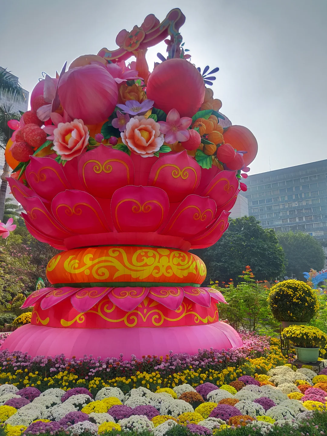 赶上菊展末班车，0元打卡！第66届羊城菊会