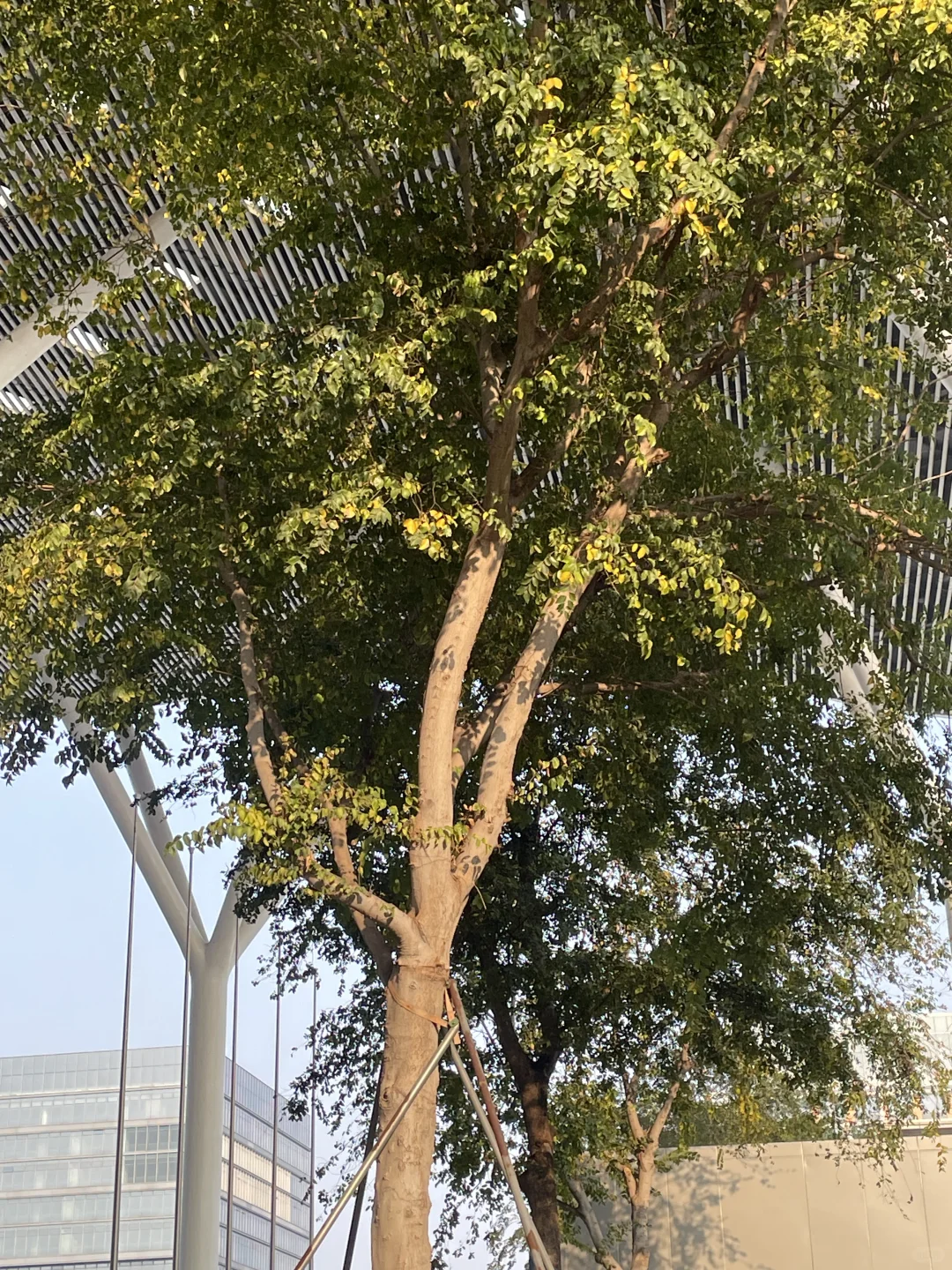 国际会展中心｜电子电路展览会兼职