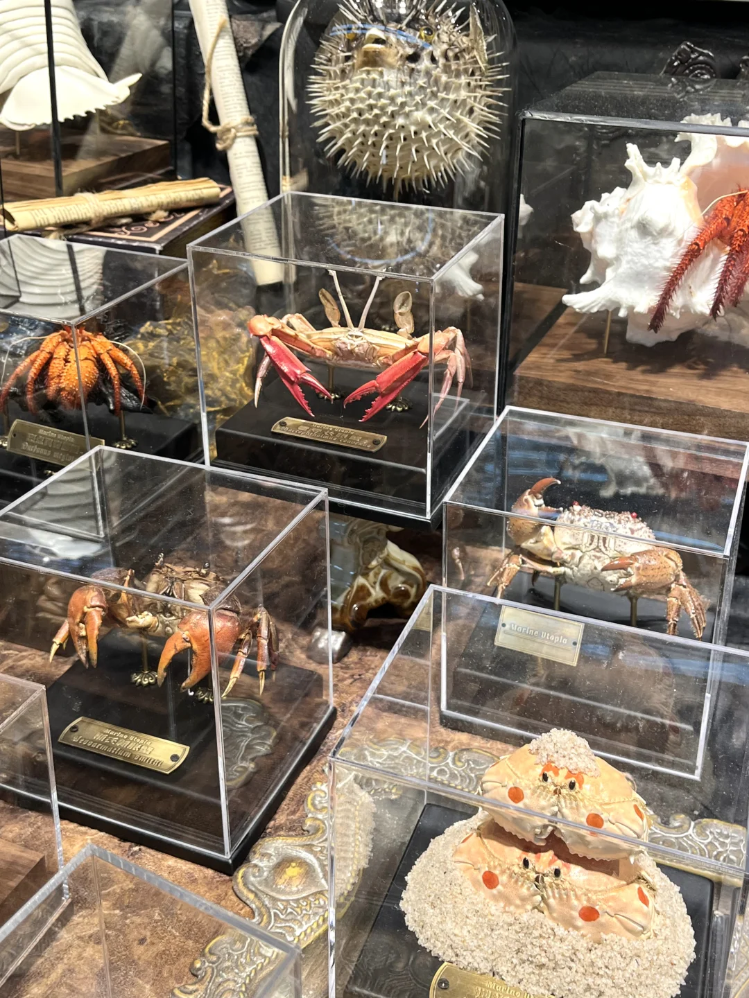 2025广州设计周首日现场?