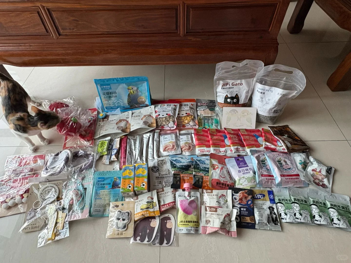 深圳华南亚宠展薅羊毛✌️不枉费我起了个大早