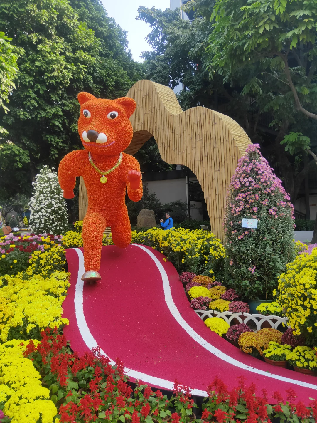 赶上菊展末班车，0元打卡！第66届羊城菊会