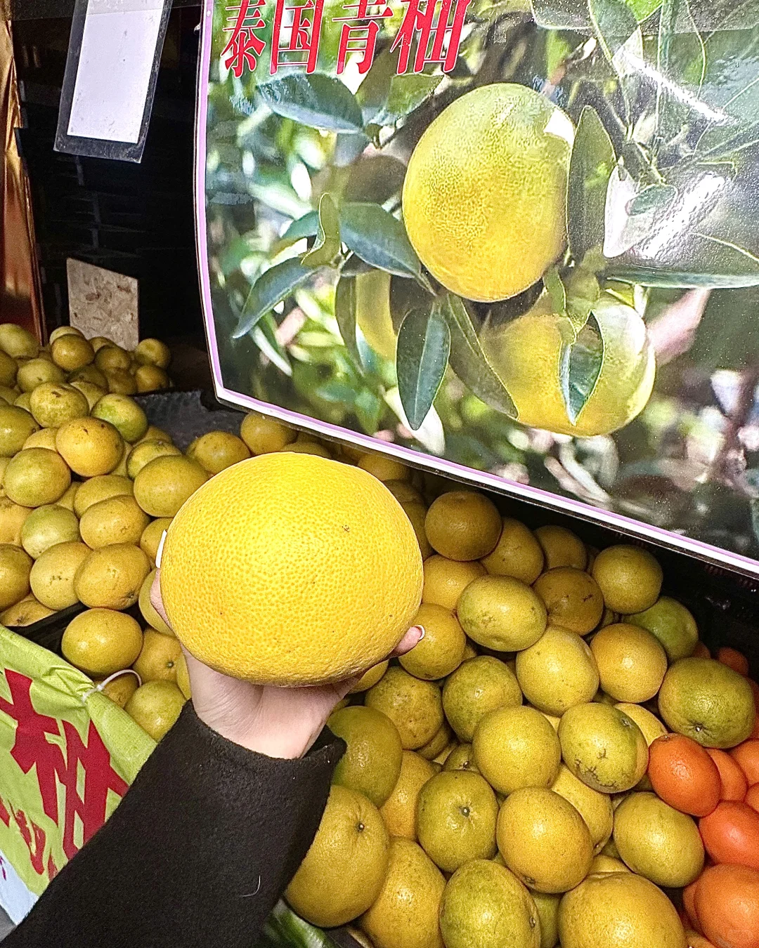 不出永城逛全球！首届进出口商品博览会。