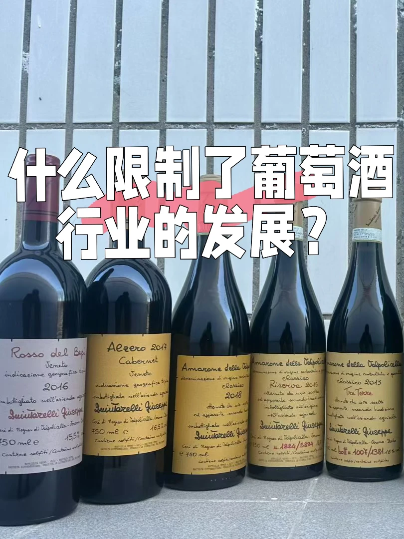 什么限制了葡萄酒行业的发展？
