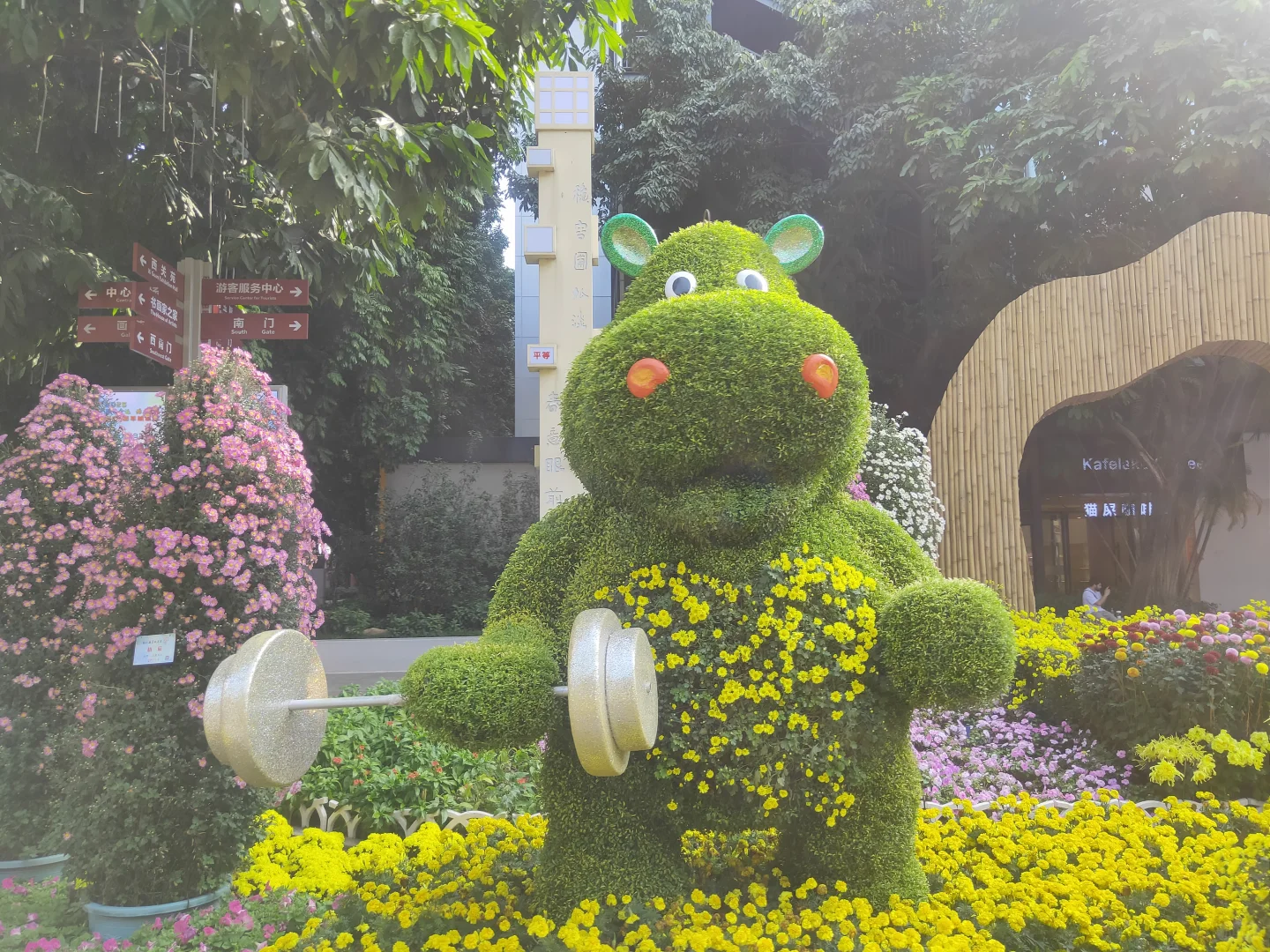 赶上菊展末班车，0元打卡！第66届羊城菊会